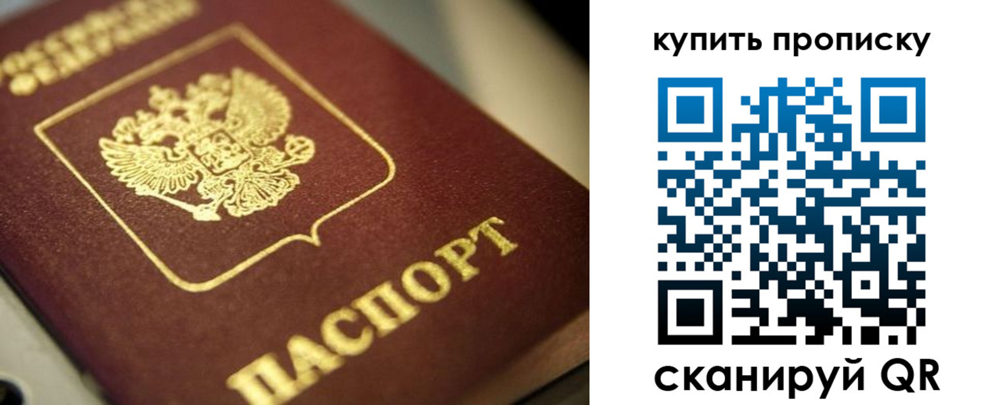 прописка поиск в Йошкар-Оле